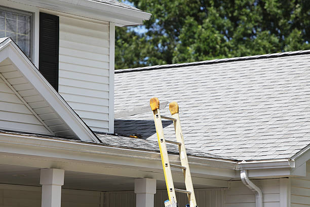 Best Property Management Cleanouts  in Detroit Lakes, MN